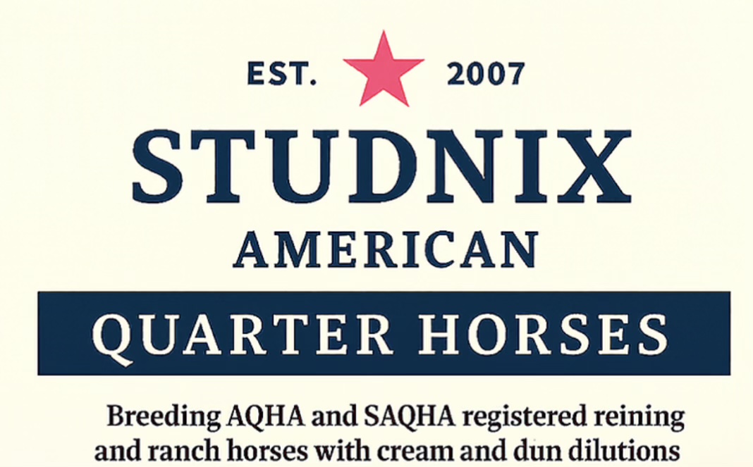 Studnix American Quarter Horses — Est. 2007
